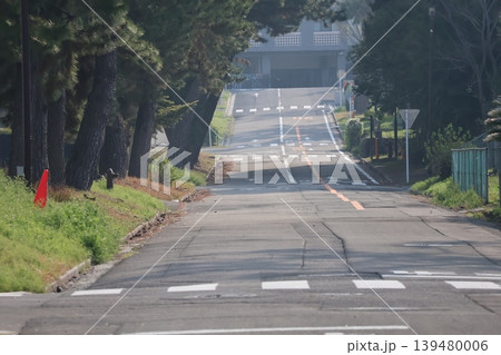 樹々とまっすぐの道路のある風景 樹々とまっすぐの道路のある風景 139480006