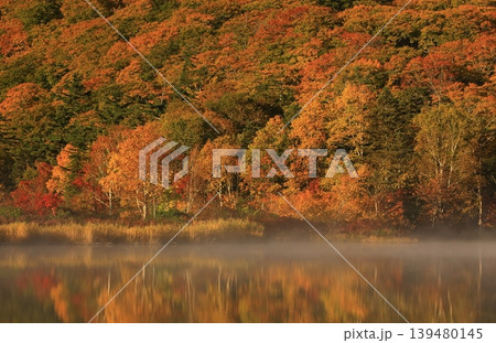 紅葉した山 紅葉した山 139480145