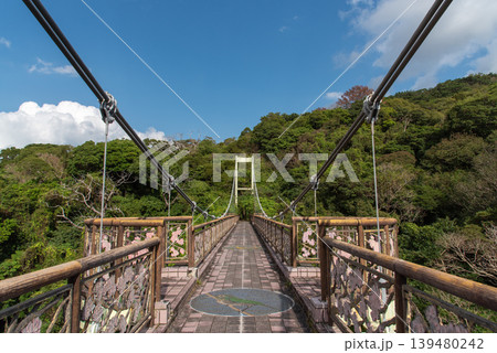 名護城公園の吊り橋タイプの桜橋 名護城公園の吊り橋タイプの桜橋 139480242