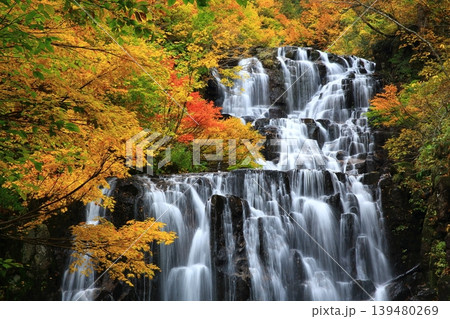 秋の立又渓谷の流れと紅葉 秋の立又渓谷の流れと紅葉 139480269