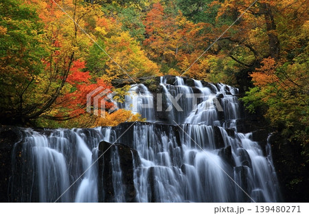 秋の立又渓谷の流れと紅葉 秋の立又渓谷の流れと紅葉 139480271