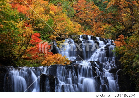秋の立又渓谷の流れと紅葉 秋の立又渓谷の流れと紅葉 139480274
