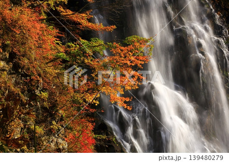 秋の立又渓谷の流れと紅葉 139480279