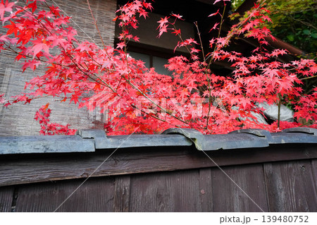 京都の民家の板塀越しの楓の紅葉 京都の民家の板塀越しの楓の紅葉 139480752