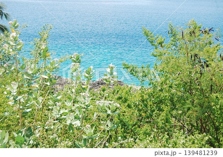 Beautiful Surroundings Gorontalo - Nature Culture 139481239