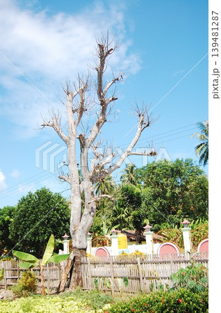 Beautiful Surroundings Gorontalo - Nature Culture 139481287