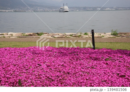ピンクの花びらの芝桜の花壇と湖岸の遊歩道とぼかした琵琶湖の湖面と遊覧船と街並みと山並みの風景 ピンクの花びらの芝桜の花壇と湖岸の遊歩道とぼかした琵琶湖の湖面と遊覧船と街並みと山並みの風景 139481506