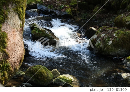 緑の苔の生えた大きな石や岩のある流れの激しい川の風景 緑の苔の生えた大きな石や岩のある流れの激しい川の風景 139481509