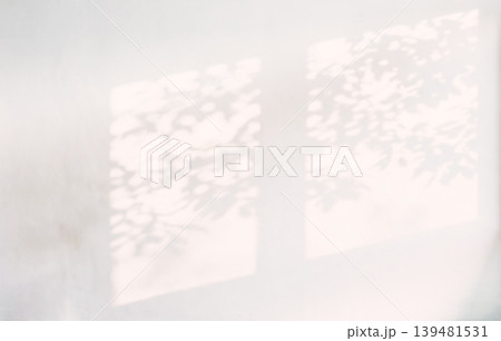 植物 影 光 日差し 木漏れ日 植物 影 光 日差し 木漏れ日 139481531