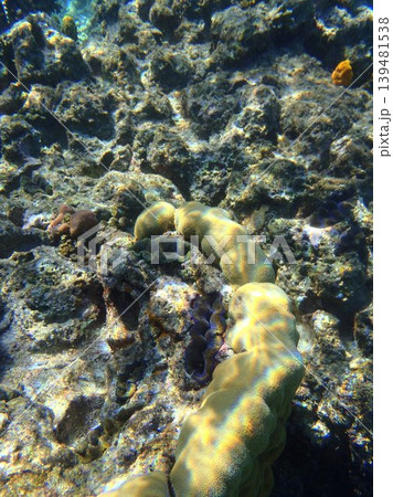 beautiful coral at blue sea with waves and blue sky, Gorontalo, Indonesia 139481538