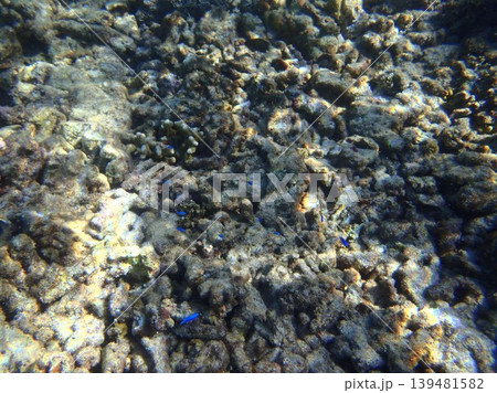 beautiful coral at blue sea with waves and blue sky, Gorontalo, Indonesia beautiful coral at blue sea with waves and blue sky, Gorontalo, Indonesia 139481582