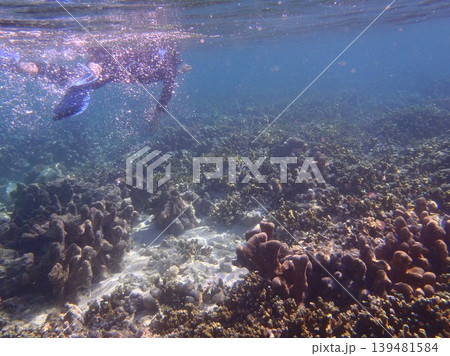 beautiful coral at blue sea with waves and blue sky, Gorontalo, Indonesia 139481584