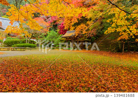京都 金蔵寺の秋 本堂広場の敷き紅葉と干し柿が吊るされた手水舎 京都 金蔵寺の秋 本堂広場の敷き紅葉と干し柿が吊るされた手水舎 139481688