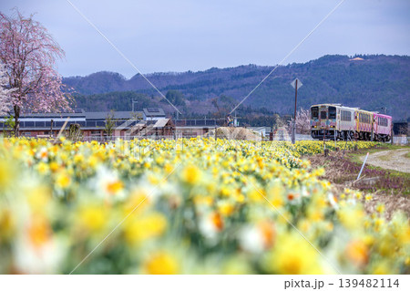 水仙と電車 139482114