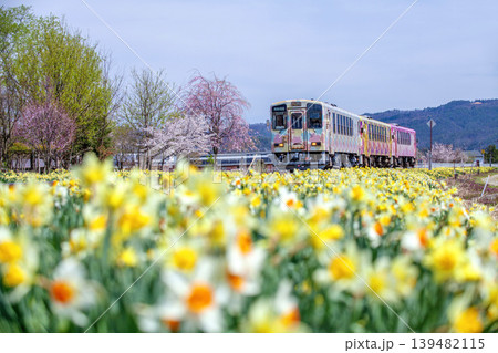 水仙と電車 水仙と電車 139482115