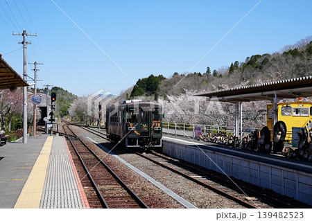 滋賀県 甲賀市 信楽駅 ホームで停車中の車両(SKR311形気動車)(春) 滋賀県 甲賀市 信楽駅 ホームで停車中の車両(SKR311形気動車)(春) 139482523