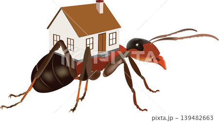 red ant with dwelling on his back back 139482663
