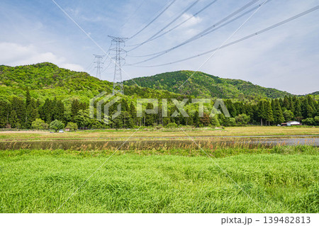 奥琵琶湖の田園風景 滋賀県長浜市西浅井町 奥琵琶湖の田園風景 滋賀県長浜市西浅井町 139482813