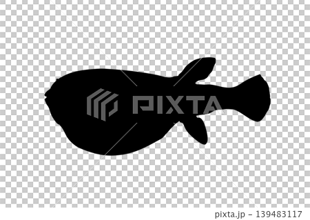 トラフグのシルエットイラスト　高級魚素材 139483117