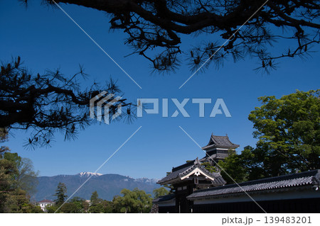 松本城公園の風景 松本城公園の風景 139483201