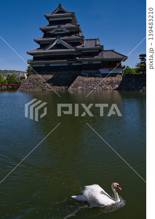 松本城公園の風景 松本城公園の風景 139483210