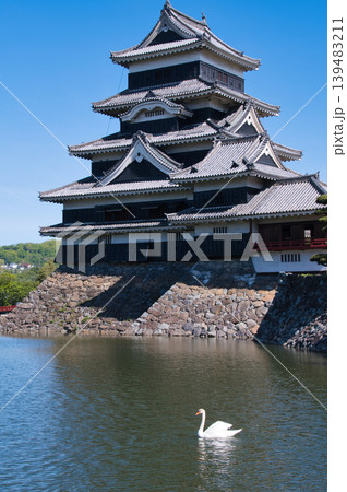 松本城公園の風景 139483211