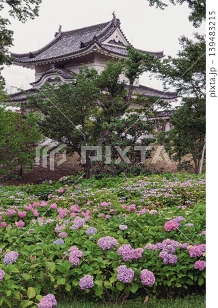 二条城・西南隅櫓とあじさい園 139483215