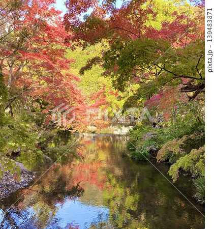池に映る紅葉　Autumn Reflection 139483871
