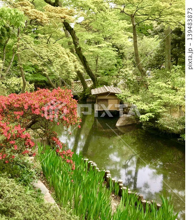 池のほとりに咲く花　Garden Silence 139483873