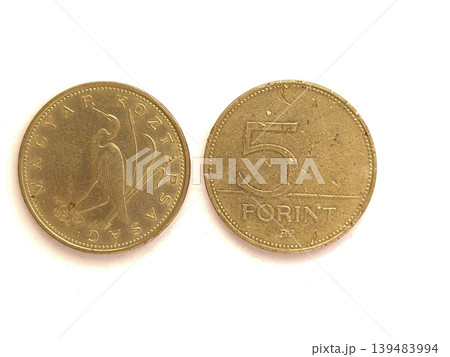 Old Five forint Hungarian Coin Magyar. Money with bird. A 1994 Forint coin featuring the Great Egret Egretta alba on the obverse Old Five forint Hungarian Coin Magyar. Money with bird. A 1994 Forint coin featuring the Great Egret Egretta alba on the obverse 139483994
