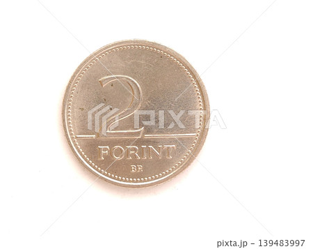 Vintage Hungarian 2 two Forint Coin Vintage Hungarian 2 two Forint Coin 139483997