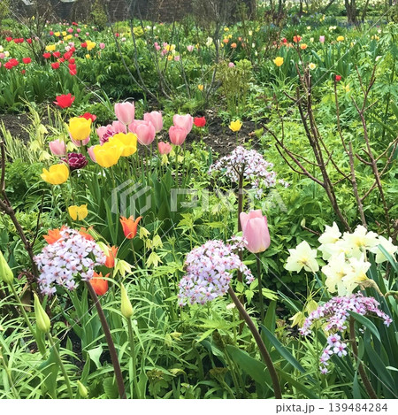 花の庭 Mixed flowers in botanical garden 花の庭 Mixed flowers in botanical garden 139484284