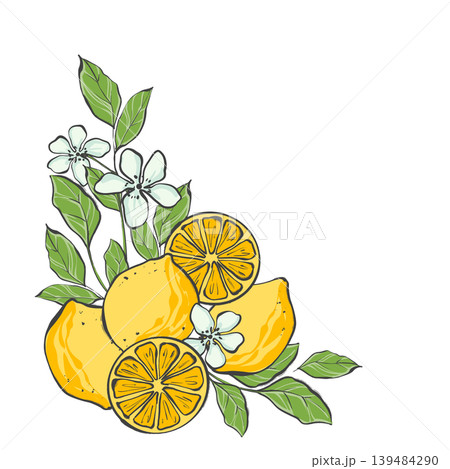 Corner botanical arrangement featuring yellow lemons, citrus slices, white flowers and green leaves. Original hand drawn illustration. Ideal for kitchen decor, garden banners, menu design and organic Corner botanical arrangement featuring yellow lemons, citrus slices, white flowers and green leaves. Original hand drawn illustration. Ideal for kitchen decor, garden banners, menu design and organic 139484290