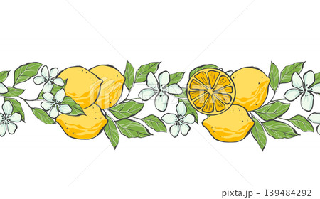 Seamless horizontal border with yellow lemons, citrus slices, white flowers and green leaves. Original hand drawn illustration. Ideal for Mediterranean style stationery, kitchen decor and garden Seamless horizontal border with yellow lemons, citrus slices, white flowers and green leaves. Original hand drawn illustration. Ideal for Mediterranean style stationery, kitchen decor and garden 139484292