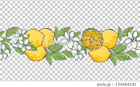 Seamless horizontal border with yellow lemons, citrus slices, white flowers and green leaves. Original hand drawn illustration. Ideal for Mediterranean style stationery, kitchen decor and garden Seamless horizontal border with yellow lemons, citrus slices, white flowers and green leaves. Original hand drawn illustration. Ideal for Mediterranean style stationery, kitchen decor and garden 139484292