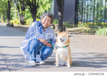 ペット　柴犬とお散歩しているシニア女性 139484316