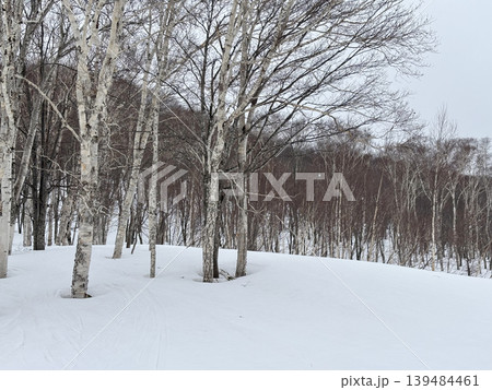 skiers enjoy activities at Annupuri ski resort, Niseko, Hokkaido, Japan skiers enjoy activities at Annupuri ski resort, Niseko, Hokkaido, Japan 139484461