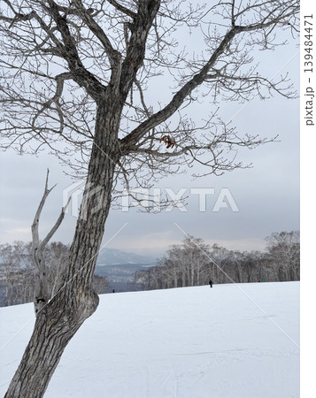 skiers enjoy activities at Annupuri ski resort, Niseko, Hokkaido, Japan skiers enjoy activities at Annupuri ski resort, Niseko, Hokkaido, Japan 139484471