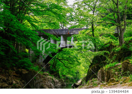 新緑の葉山めがね橋水園 新緑の葉山めがね橋水園 139484484