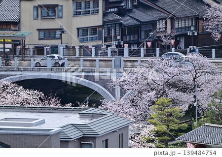 金沢浅野川界隈の桜 金沢浅野川界隈の桜 139484754