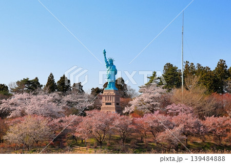 満開の桜に囲まれる自由の女神｜いちょう公園の春の風景 青森県おいらせ町 139484888
