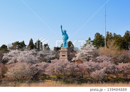 満開の桜に囲まれる自由の女神|いちょう公園の春の風景 青森県おいらせ町 満開の桜に囲まれる自由の女神|いちょう公園の春の風景 青森県おいらせ町 139484889