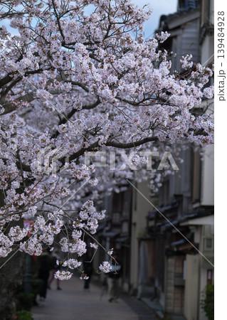 桜が美しい主計町茶屋街 桜が美しい主計町茶屋街 139484928
