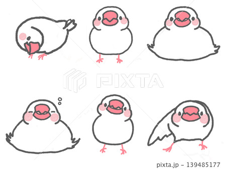 いろいろなポーズのかわいい白文鳥のイラストセット いろいろなポーズのかわいい白文鳥のイラストセット 139485177
