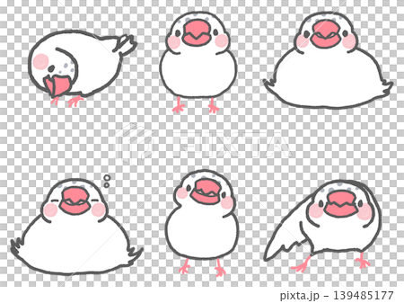 いろいろなポーズのかわいい白文鳥のイラストセット いろいろなポーズのかわいい白文鳥のイラストセット 139485177