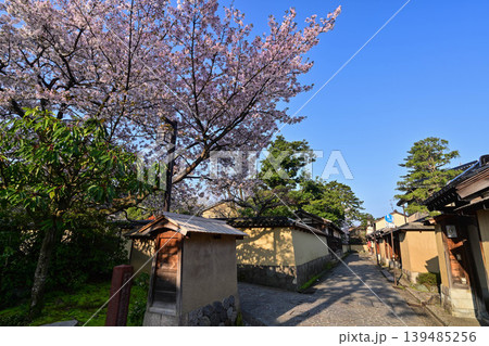 桜咲く春の長町武家屋敷跡 139485256