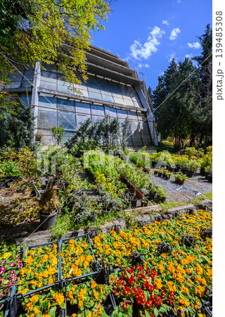 Modern glass greenhouse with colorful flower garden 139485308