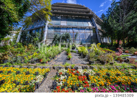 Modern glass greenhouse with colorful flower garden 139485309