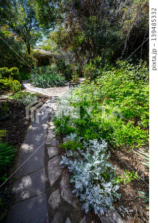 Sunlit garden path through lush greenery Sunlit garden path through lush greenery 139485332