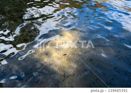 透明度の高い渓流 長野県白馬村 透明度の高い渓流 長野県白馬村 139485391